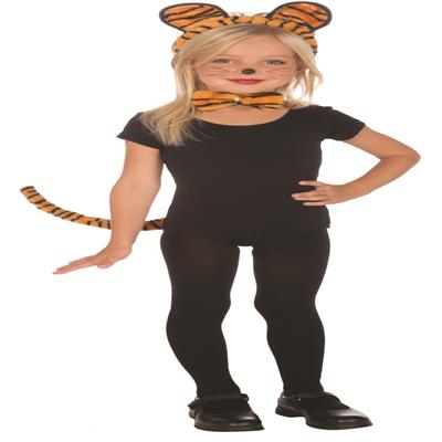 catelog