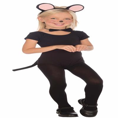 catelog