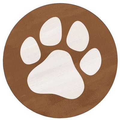 catelog