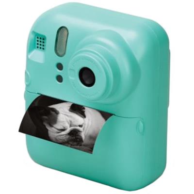 catelog